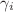 $\gamma_{i}$
