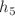 $$h_5$$