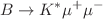 $$B \rightarrow K^* \mu ^+ \mu ^-$$