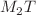 $$\varvec{M}_{2}\varvec{T}$$
