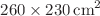 $$260 \times 230 \,\hbox {cm}^{2}$$