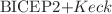 $$\hbox {BICEP2+}Keck$$