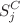 $$S_j^C$$