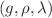 $$(g,\rho ,\lambda )$$
