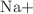 $${\hbox {Na}}{+}$$