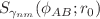 $$S_{\gamma _{nm}}(\phi _{AB};r_0)$$