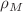 $$\rho _{M}$$