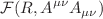 $${{{\mathcal{F}}}}(R, A^{\mu \nu }A_{\mu \nu })$$