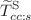 $$\widetilde{ T}_{cc:s}^{\textrm{S}}$$