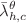 $${\bar{\lambda }}^{\theta }_{h,c}$$