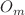 $$O_{m}$$