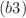 $$(b3)$$