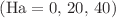 $$({\text{Ha}} = 0, \, 20, \, 40)$$