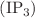 $$(\textrm{IP}_3)$$