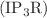$$({\textrm{IP}}_3\textrm{R})$$