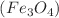 $$(Fe_3O_4)$$
