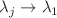 $$\lambda _{j} \rightarrow \lambda _{1}$$