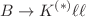 $$B \rightarrow K^{(*)} \ell \ell $$