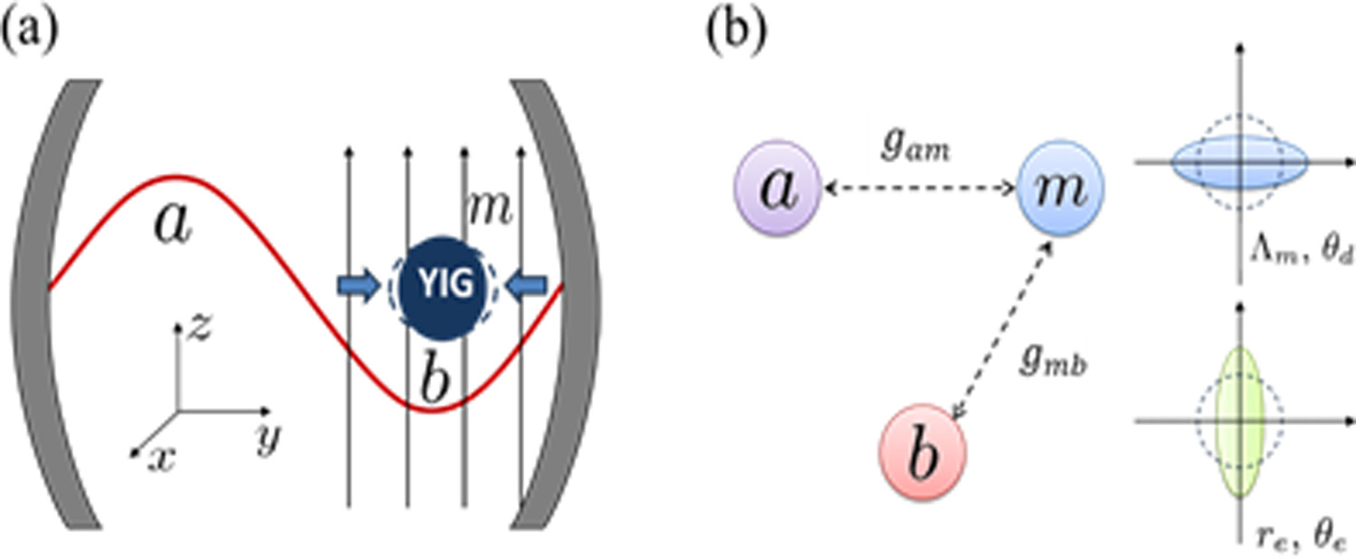 Graphical abstract
